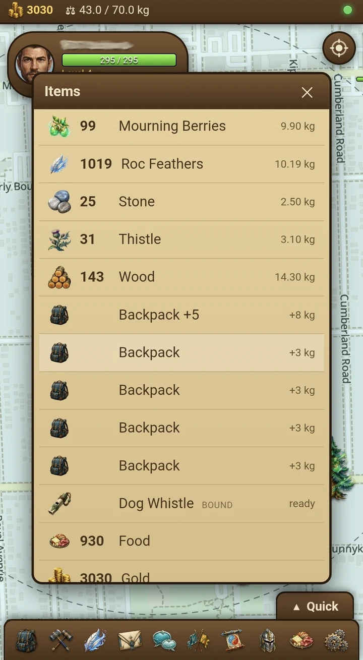 The Items panel listing berries, feathers, stone, thistle, wood, backpacks and food with their weights